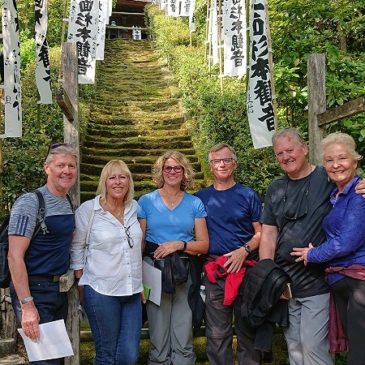 Canadian Visitors Enjoy Kamakura with Fresh Green leaves Like Children