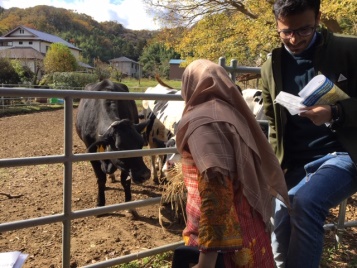 Great Fun on a Farm Visit with Potato Digging