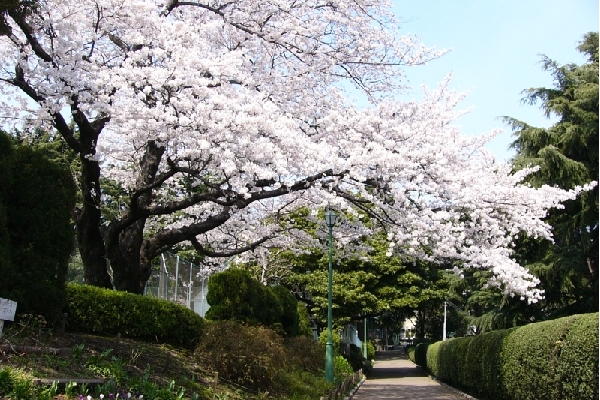 Yamate Park