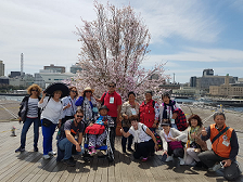 Big Mexican Family Visit Yokohama Helping Each Other